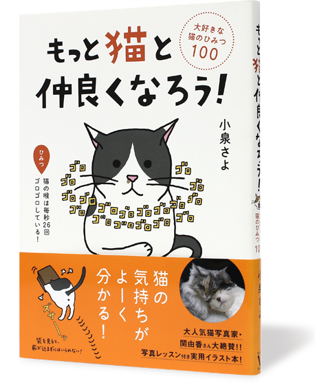 もっと猫と仲良くなろう!