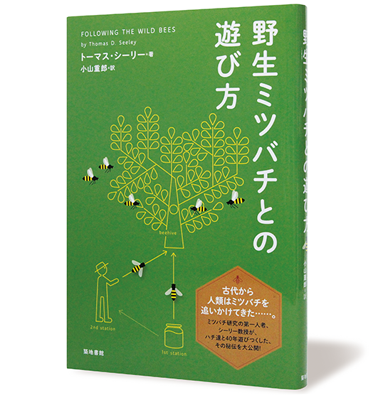 野生ミツバチとの遊び方