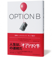 OPTION B